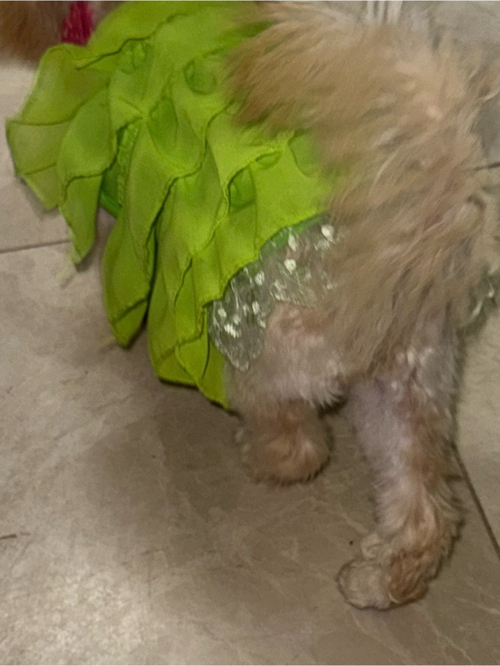 Ruffle Dress - Bright line spring summer girly themed tea Greenfun cute lace S - Picture 5 of 5